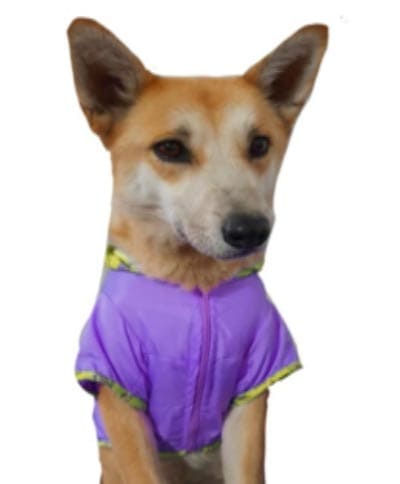 estilo-perruno-5